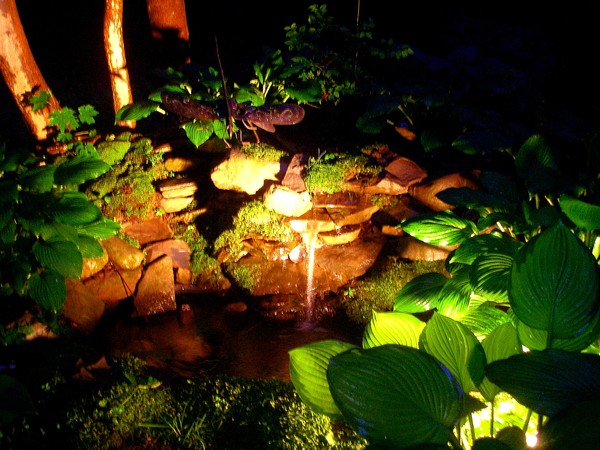 pond1