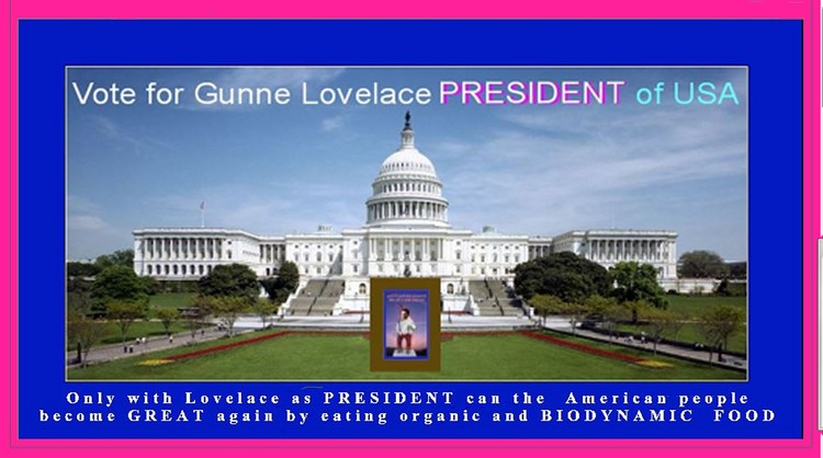 Lovelace 4 president