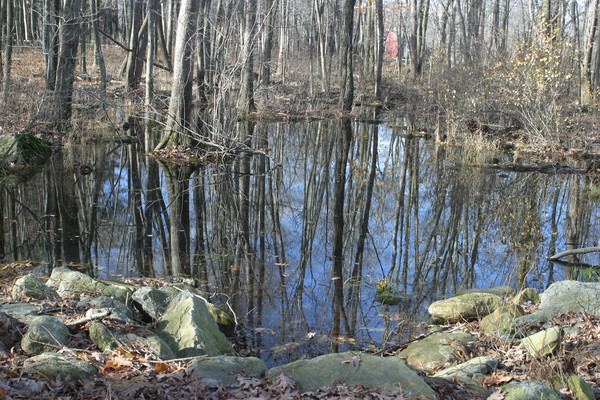 mud hole