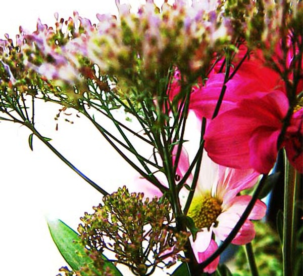 Bouquet