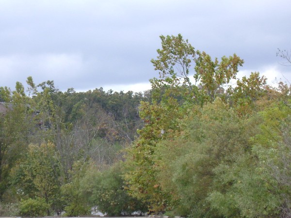 DSC02362