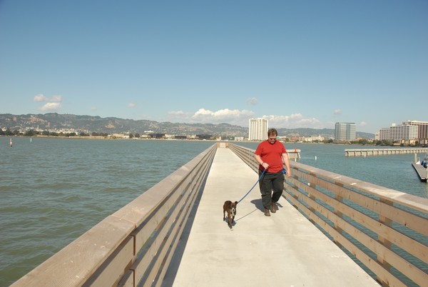 Man's Best Friend