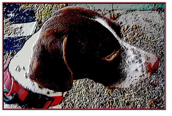 Baxter Painting