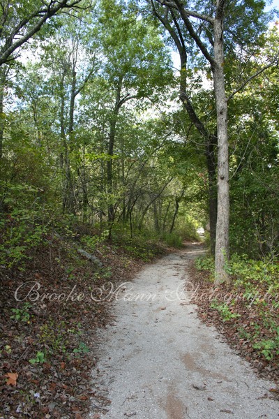 Mountain Path