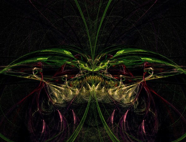 Digital Insect