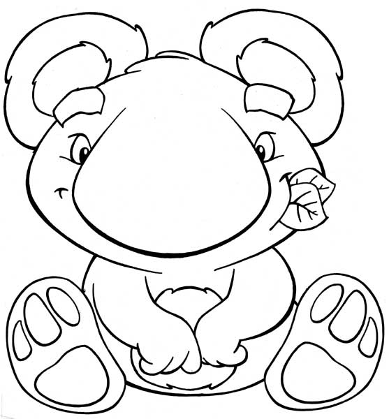 K is for Koala
