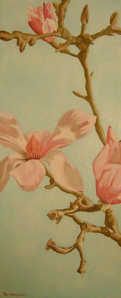 Magnolia