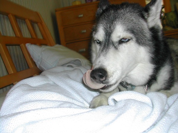 SKYE IV