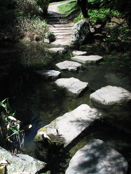 the pathway