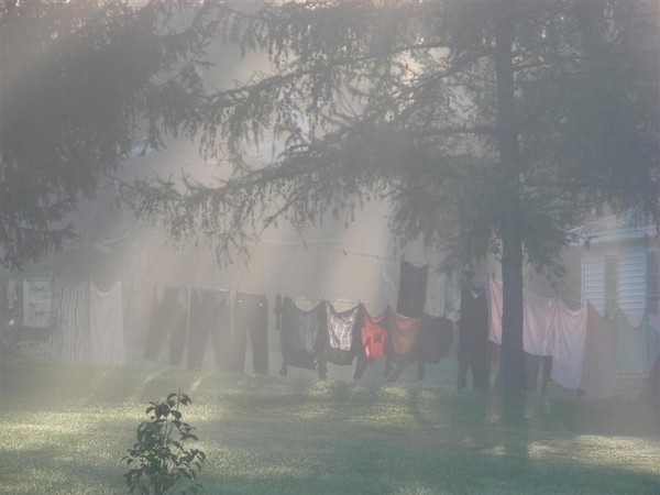 Foggy Lineup