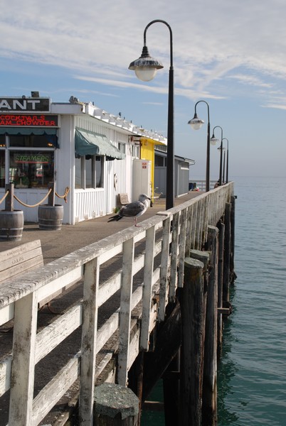 Santa Cruz, Ca