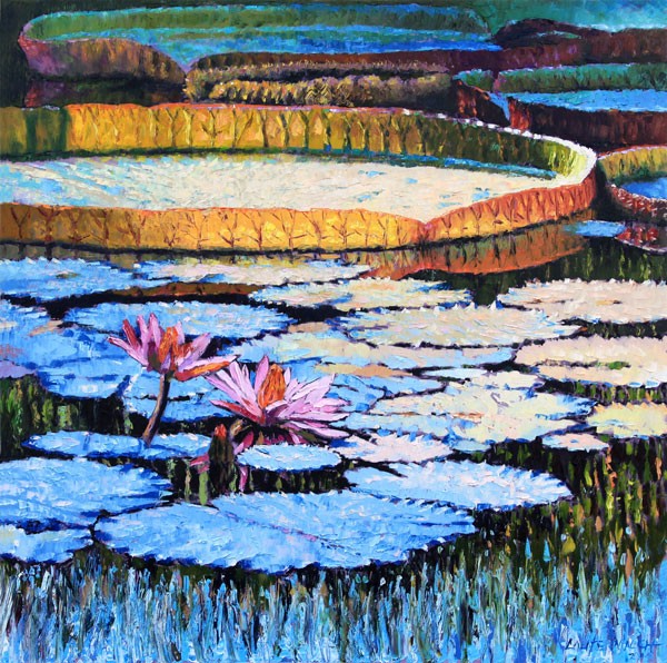 Warm-Sunlight-on-Water-Lili