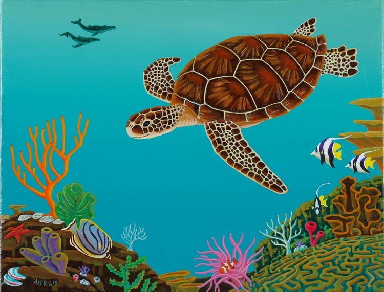 Joe's Turtle