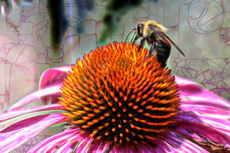 Bee