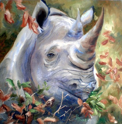 Rhino