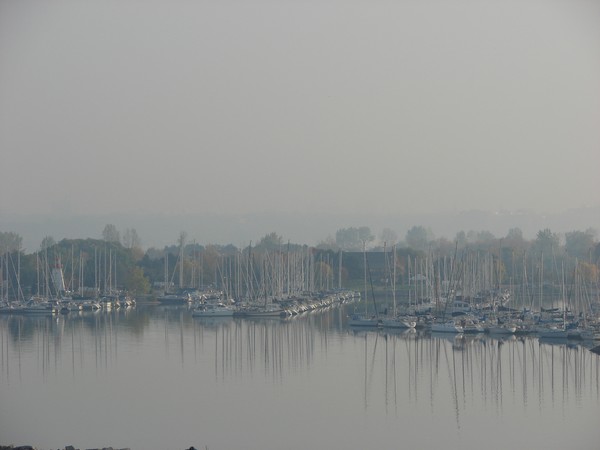 Too Early to Sail?