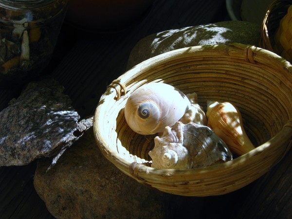 summer decoration..
