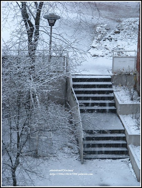 winter views