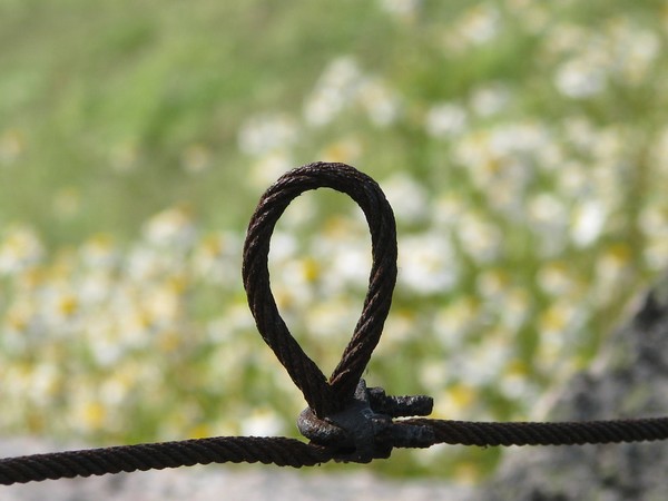 untying those knots..FREEDOM SOARS...