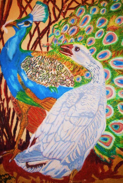 BEAUTIFUL PEACOCK