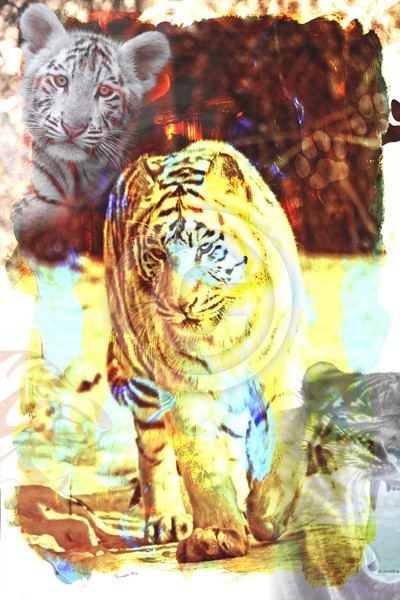 Mighty Tiger