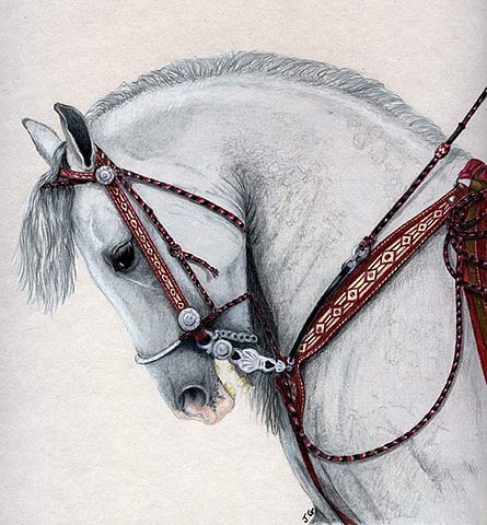 The Andalusian