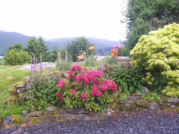 Little Em's Garden
