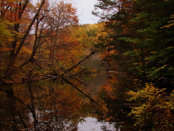 wadsworth state park