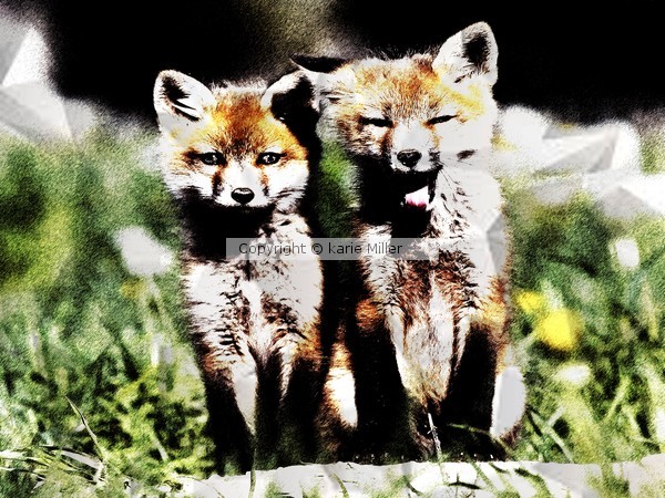 foxy babies 2