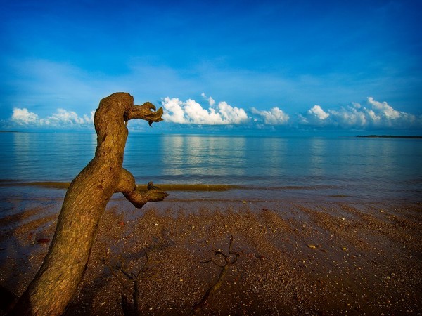 pointing the way
