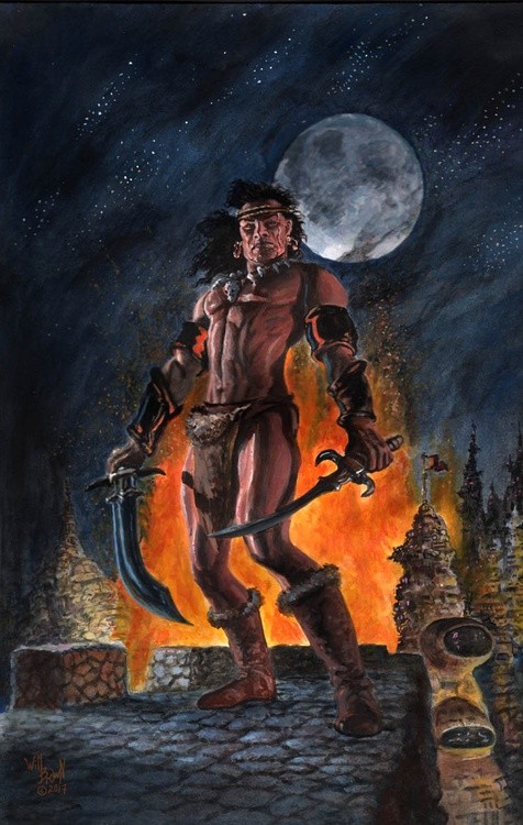 Barbarian Raider