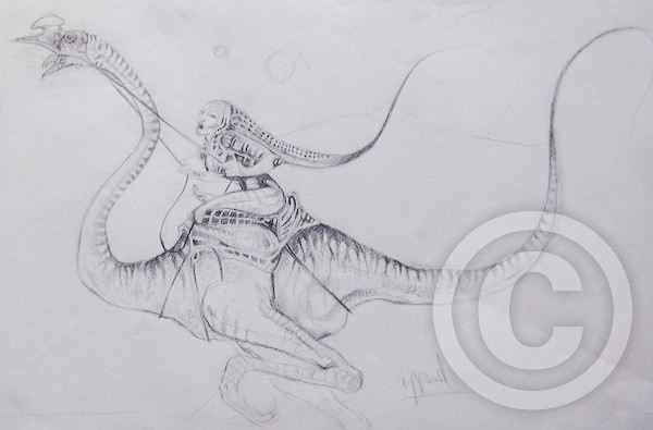  Targon Racer of gaconia 6