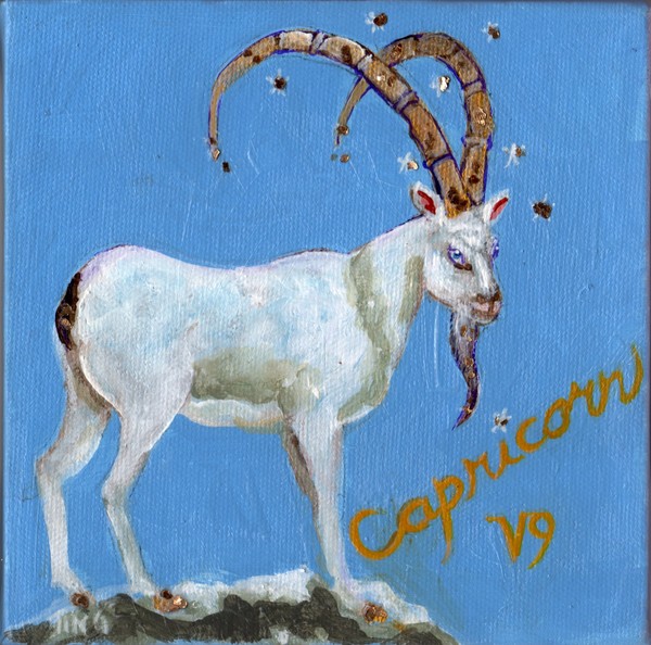 Zodiac Signs Capricorn