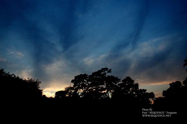 BLUE EVENING