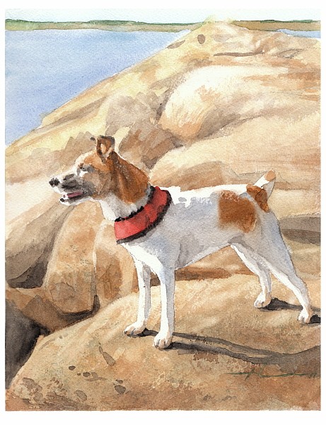 terrier watercolor painting