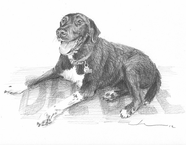 black happy dog drawing mike theuer