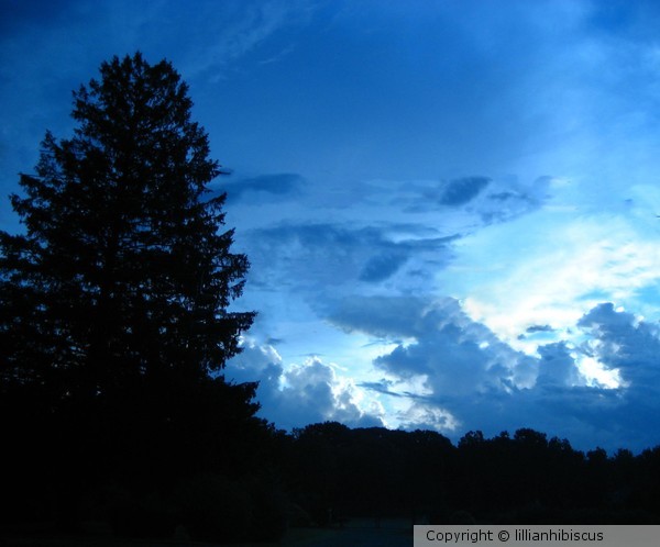 I Love The Sky