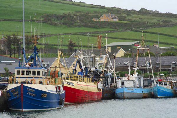 Dingle Bay Fishing Boats