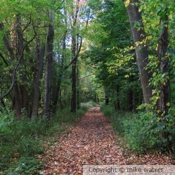 Nature trail