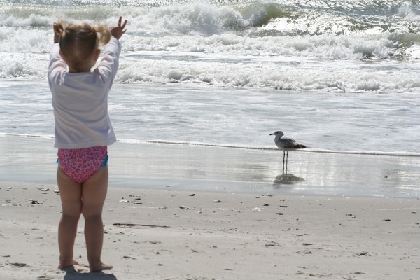 A day at the Beach