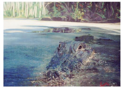 Aligator