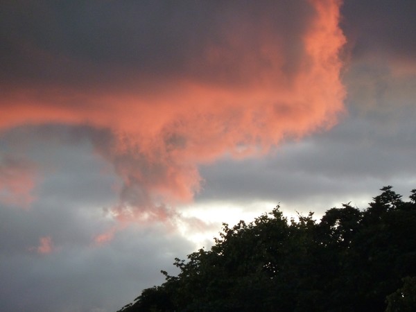 Clarendon Light