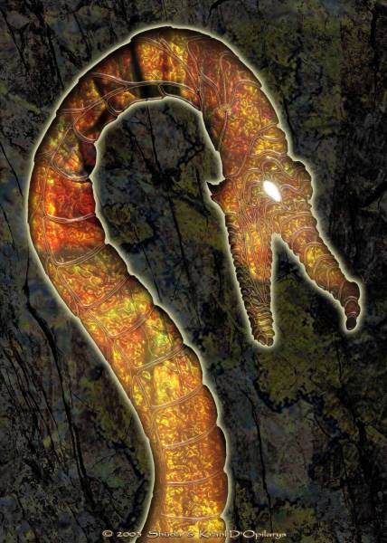 Tryptich of the dragon's rune ardhran : part 2