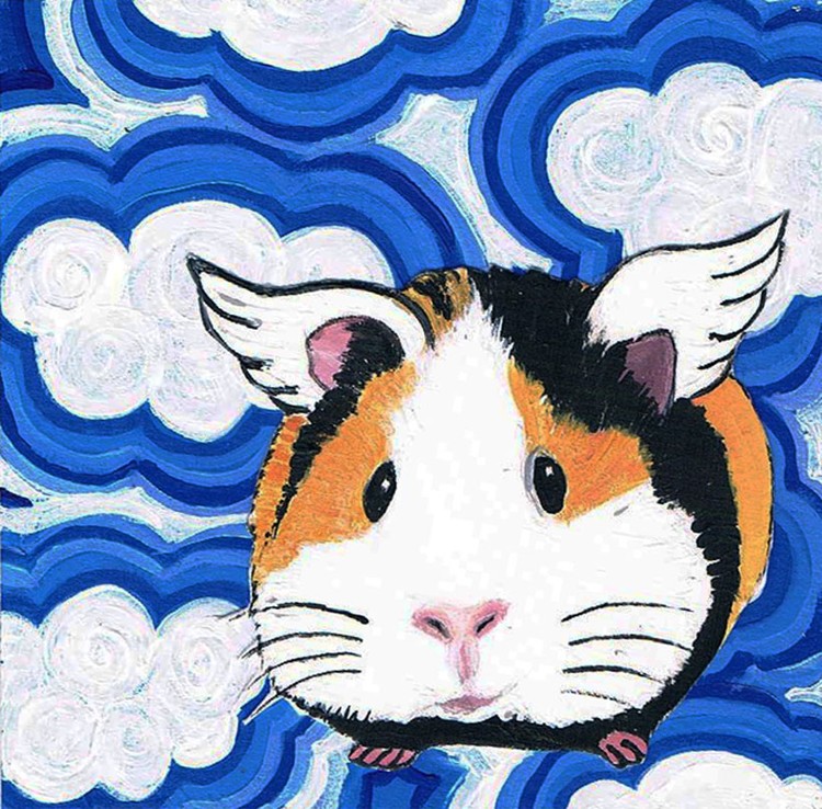 Angel Pig