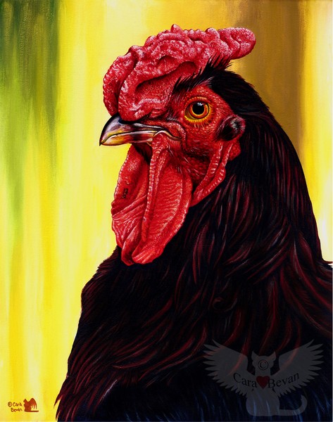 Fowl Emperor