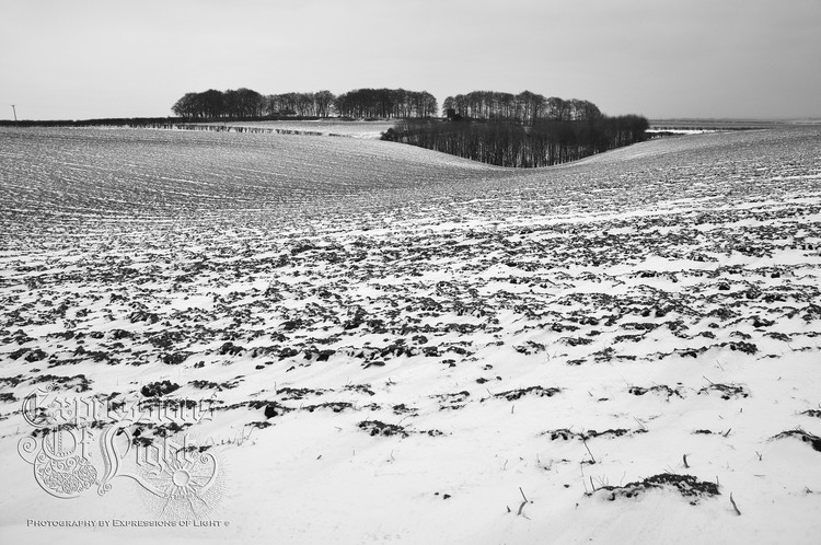 ExpoLight-The-Lincolnshire-Wolds-Winter-18-03-2018-0036 (SP)