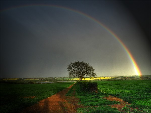 Rainbow