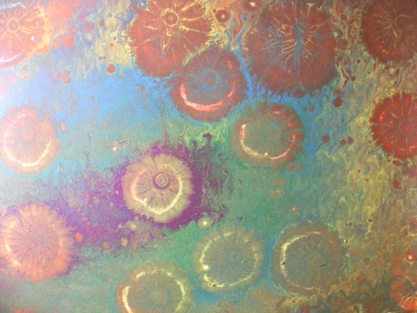 FOSSIL BURST