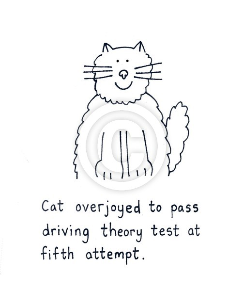 Driving theory test