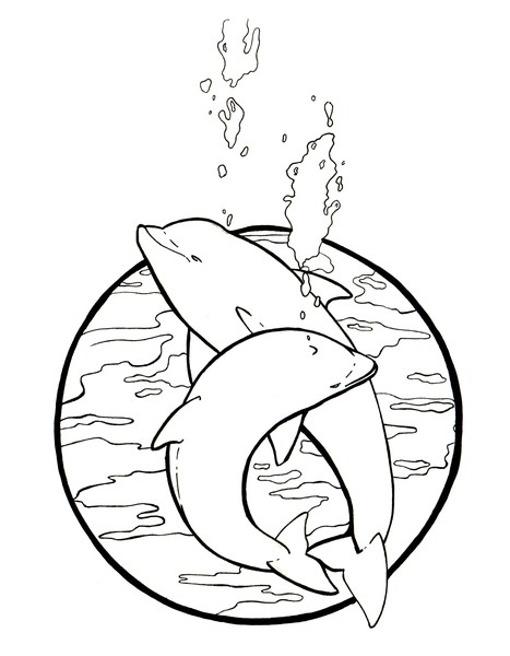 Dolphins at play